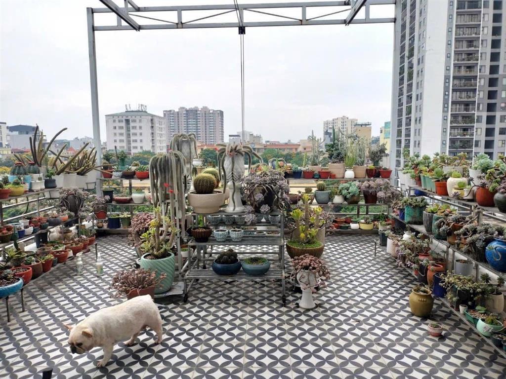 Bán căn nhà 6 tầng thang máy 2 mặt thoáng tại phố nguyễn sơn, long biên