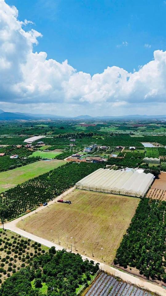 SIÊU RẺ ĐẤT LÂM HÀ – MẶT TIỀN 5M – 184M2 CÓ THỔ CƯ - SHR