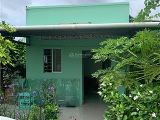 Cho thuê nhà vườn 1.200m² bình chánh hồ sen, sân rộng, nhiều cây xanh, ô tô vào tận nhà