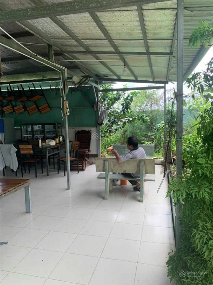 Cho thuê nhà vườn 1.200m² bình chánh hồ sen, sân rộng, nhiều cây xanh, ô tô vào tận nhà