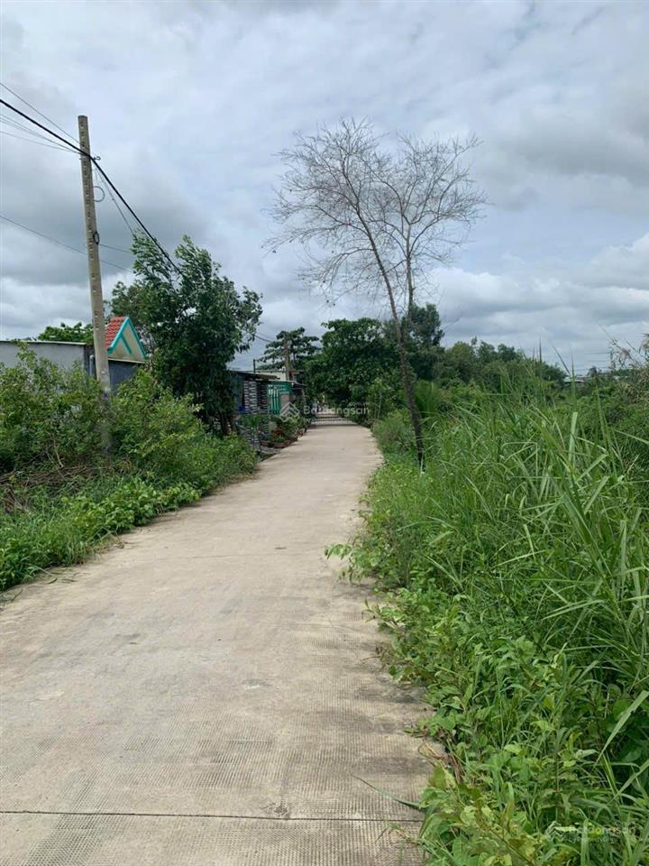 Cho thuê nhà vườn 1.200m² bình chánh hồ sen, sân rộng, nhiều cây xanh, ô tô vào tận nhà