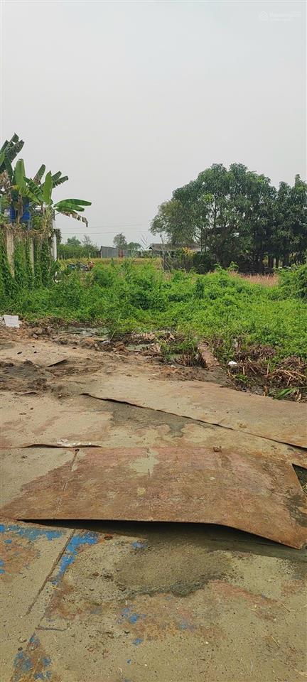 Chính chủ gửi 95m2 ( 4,8m x 20m ) đất thổ, xã mỹ lộc, giá rẻ, sổ riêng.