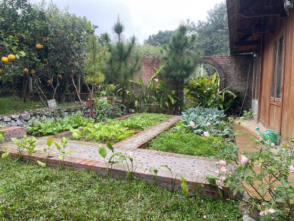 Cần bán mảnh đất nghỉ dưỡng 820 m2 đã có sẵn nhà gỗ và 2 bungalow 13,3 tỷ