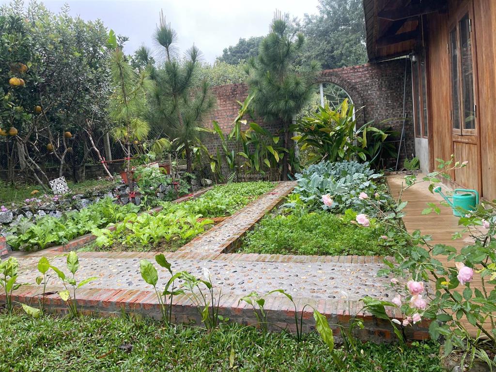 Cần bán mảnh đất nghỉ dưỡng 820 m2 đã có sẵn nhà gỗ và 2 bungalow 13,3 tỷ