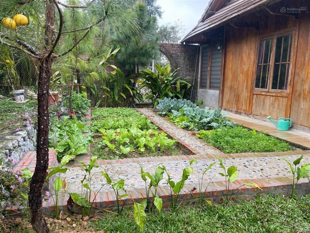 Cần bán mảnh đất nghỉ dưỡng 820 m2 đã có sẵn nhà gỗ và 2 bungalow 13,3 tỷ