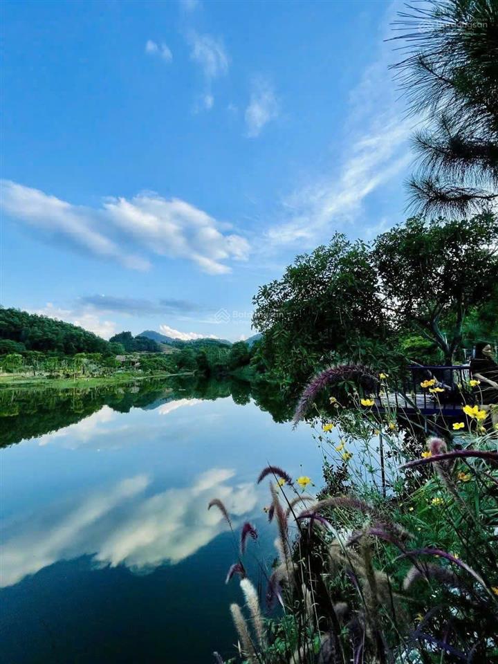 Cần bán mảnh đất nghỉ dưỡng 820 m2 đã có sẵn nhà gỗ và 2 bungalow 13,3 tỷ