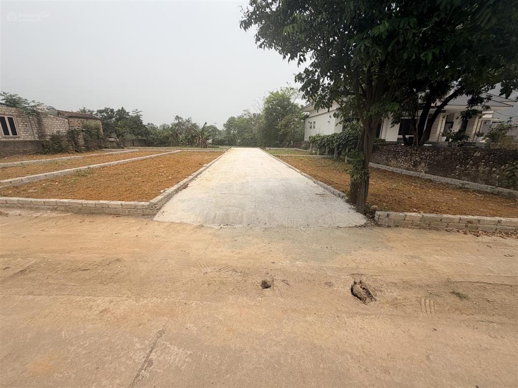 Cần bán gấp giá công khai 1.190tr lô 80m, đường rộng 5m, ô tô đỗ, ngay đường ql21a vài bước chân