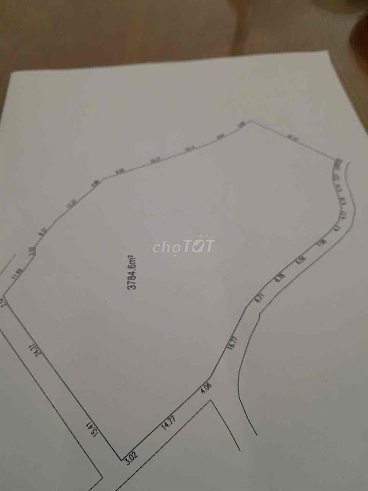 Nhà Không Có Người Làm Nên Bán rẻ Đát Vườn Xã Đại Lào