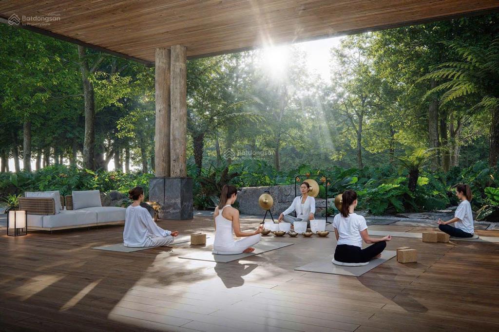 Khả ngân thân gửi 5 video về biệt thự rừng eco retreat  anh chị khai xuân cùng eco retreat ạ