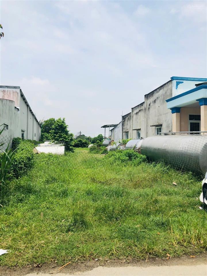 Kẹt tiền! bán đất đường số 49, xã tân thông hội, củ chi 446m2 giá tốt [3 tỷ]