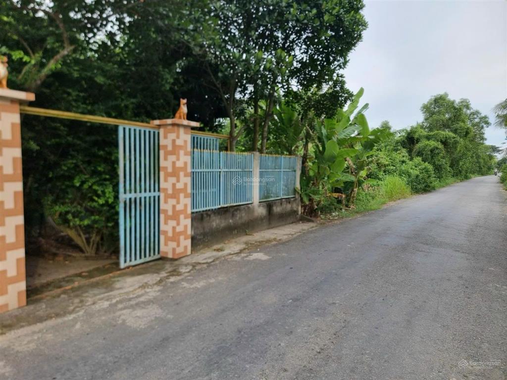 Nhà vườn đường trương văn đa, tân nhựt, bình chánh