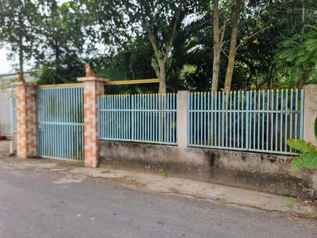 Nhà vườn đường trương văn đa, tân nhựt, bình chánh