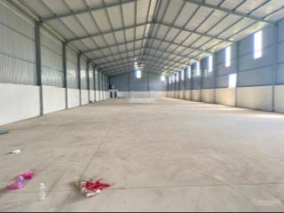 Kho xưởng 1300m2 (5 sân pikle ball) trần cao đẹp tải lớn tam bình