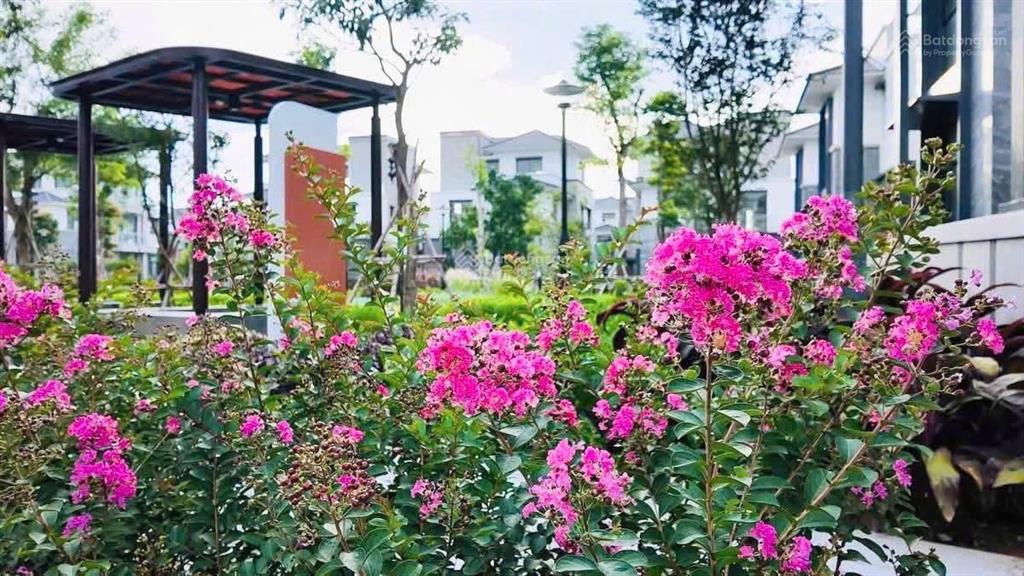 Nhà phố liên kế vườn 41,052 tỷ full đầy đủ nội thất đường 25m. nhà mới 100% mua trực tiếp cđt