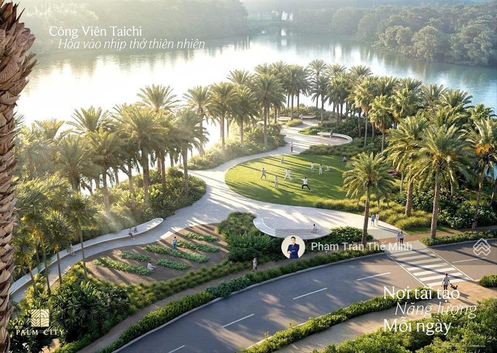 Ở palm river, dòng sông không chỉ để ngắm, mà là trạm sạc năng lượng mỗi ngày của cư dân