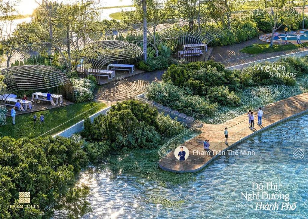 Ở palm river, dòng sông không chỉ để ngắm, mà là trạm sạc năng lượng mỗi ngày của cư dân