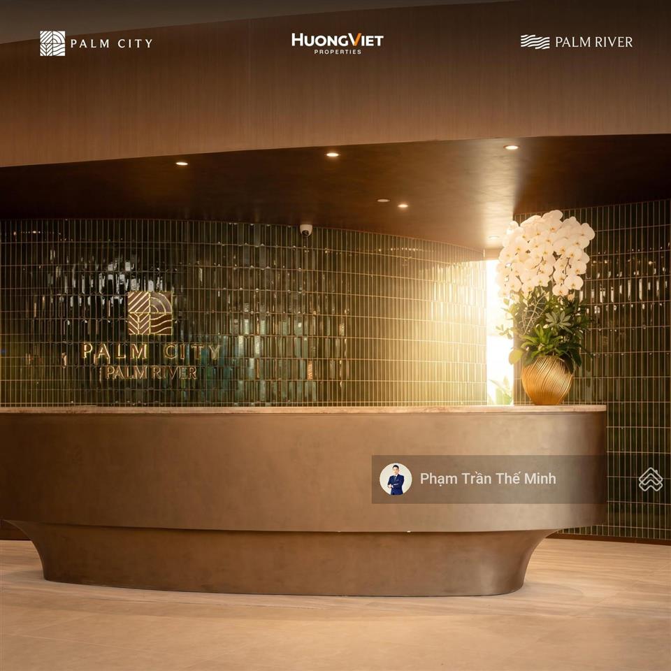 Ngày 12/08/2026 hướng việt properties công bố mức giá rumor "bất ngờ" cho dự án palm river