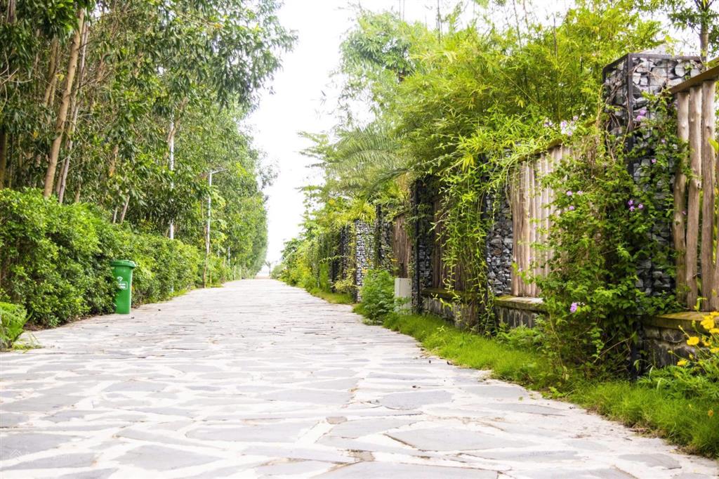 Chính chủ bán mini villa cạnh biển lộc an, bà rịa diện tích gần 450m2 thu về dưới giá vốn