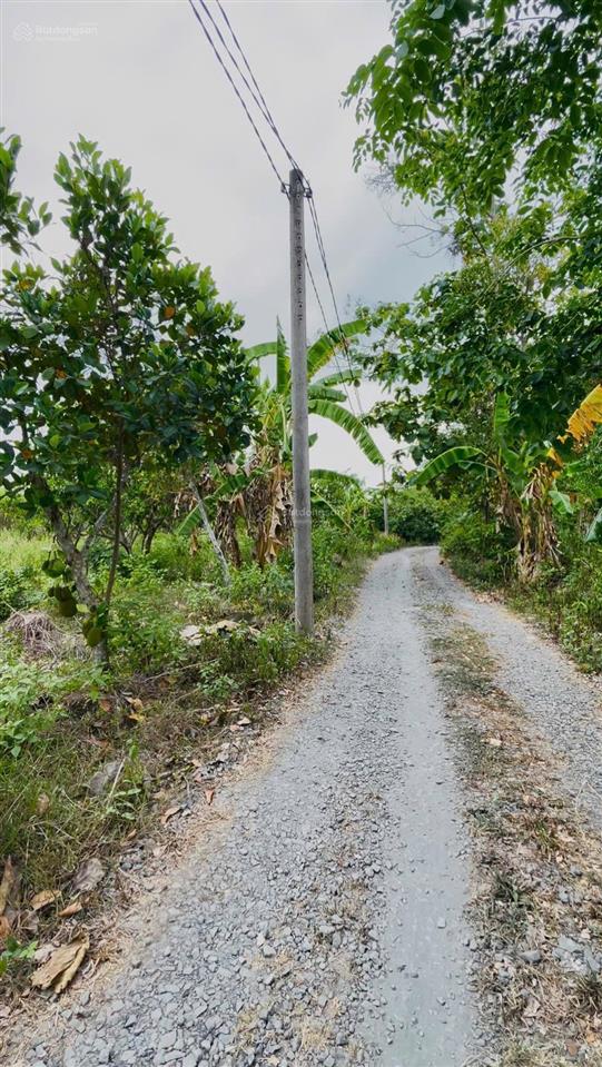 Bán lô đất, có nhà trên đất diện tích rộng rãi phù hợp vừa mua ở, để làm vườn luôn. có 300m2 thổ cư