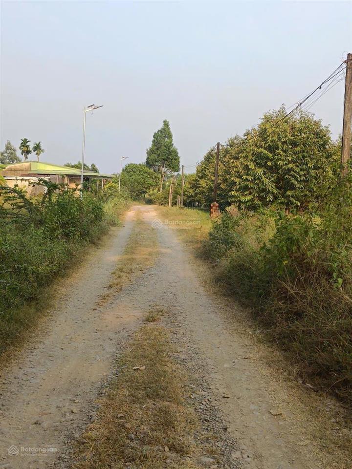 Bán lô đất, có nhà trên đất diện tích rộng rãi phù hợp vừa mua ở, để làm vườn luôn. có 300m2 thổ cư