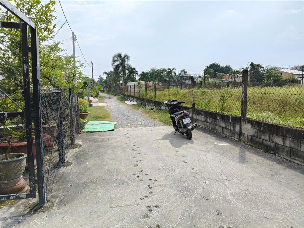 1427m2 ở hoà đông, củ chi. cách đường nguyễn thị nê 50 mét. đất vuông như cái bánh chưng đẹp lắm
