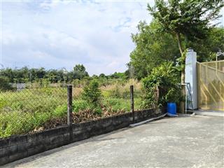 1427m2 ở hoà đông, củ chi. cách đường nguyễn thị nê 50 mét. đất vuông như cái bánh chưng đẹp lắm
