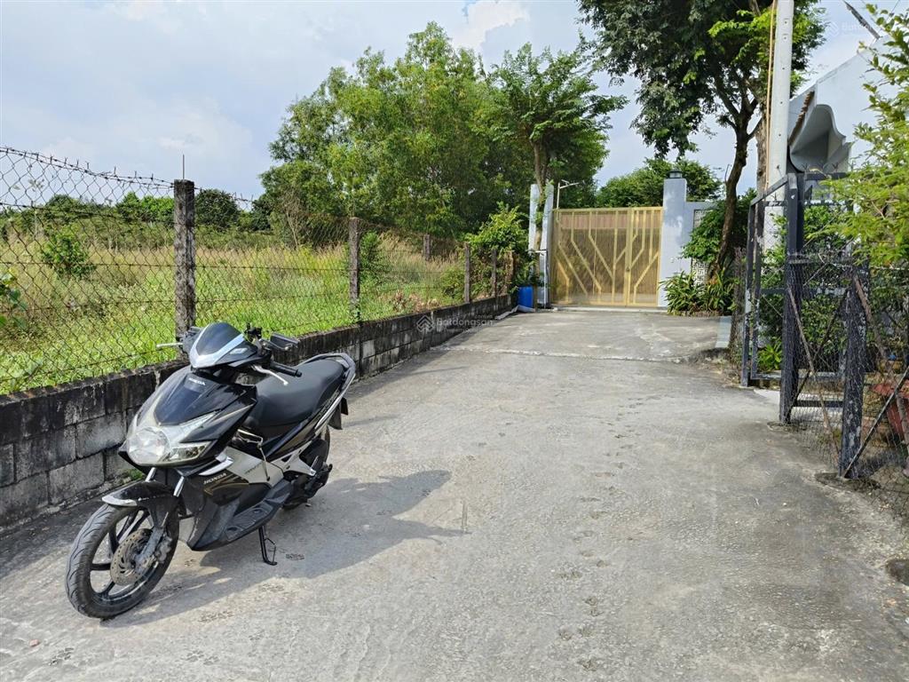 1427m2 ở hoà đông, củ chi. cách đường nguyễn thị nê 50 mét. đất vuông như cái bánh chưng đẹp lắm