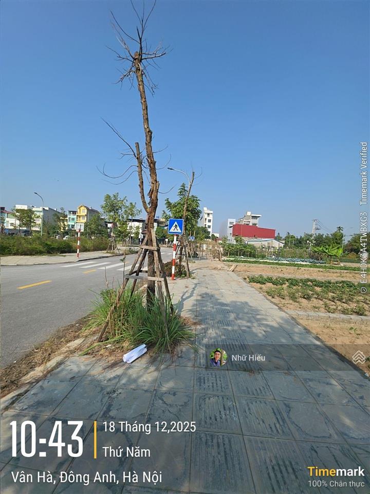 Chính chủ bán đất tái định cư xã thư lâm, đông anh, hà nội, giá thỏa thuận