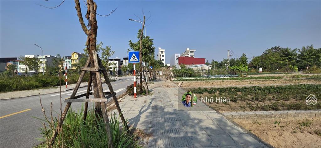 Chính chủ bán đất tái định cư xã thư lâm, đông anh, hà nội, giá thỏa thuận