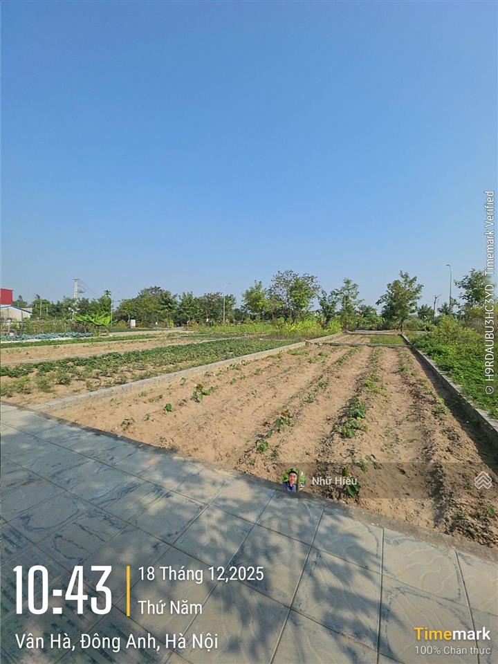 Chính chủ bán đất tái định cư xã thư lâm, đông anh, hà nội, giá thỏa thuận