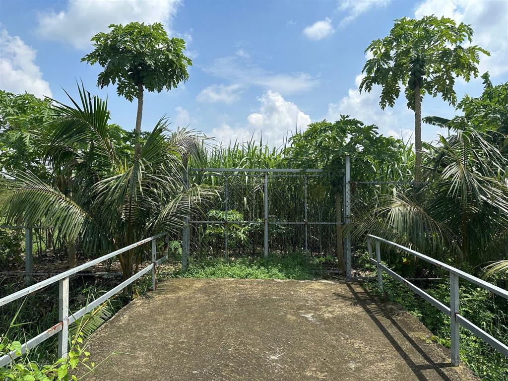 Bán đất mặt tiền đường liên ấp 45, đa phước, bình chánh  731,1m2  11,6 tỷ