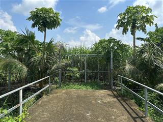 Bán đất mặt tiền đường liên ấp 45, đa phước, bình chánh  731,1m2  11,6 tỷ