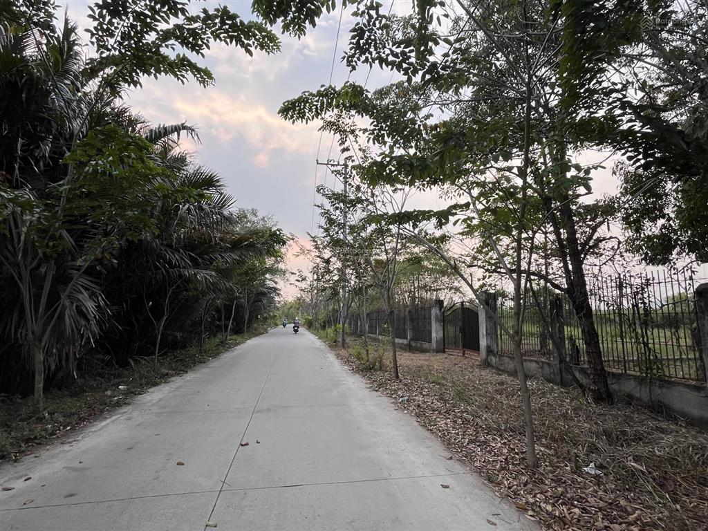 Bán 8400m2 đất tờ bản đồ số 3 cũ, phong phú, bình chánh