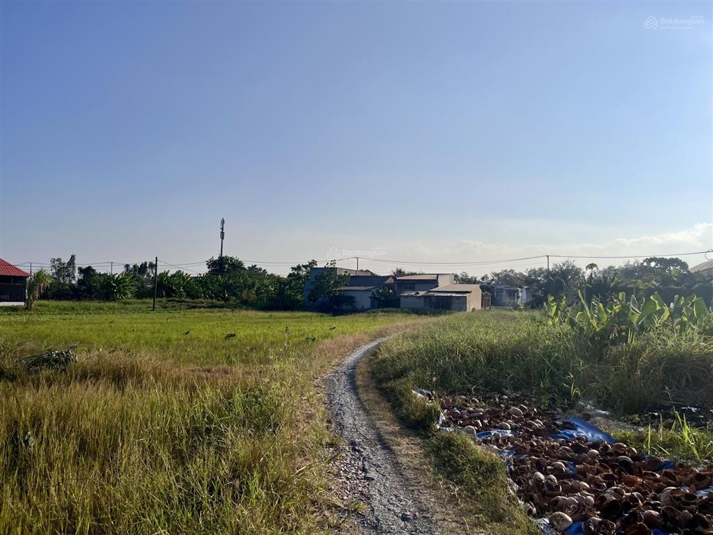 Chính chủ gửi bán đất nông nghiệp phong phú, bình chánh  2.000m2  2,2 tỷ