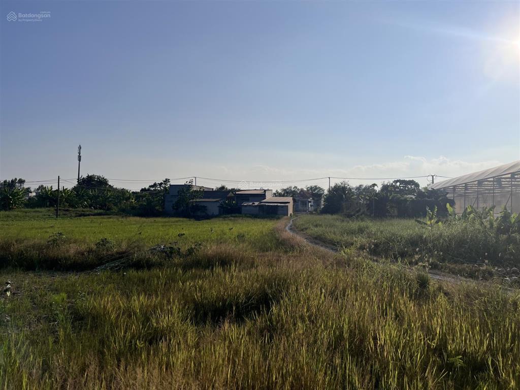 Chính chủ gửi bán đất nông nghiệp phong phú, bình chánh  2.000m2  2,2 tỷ