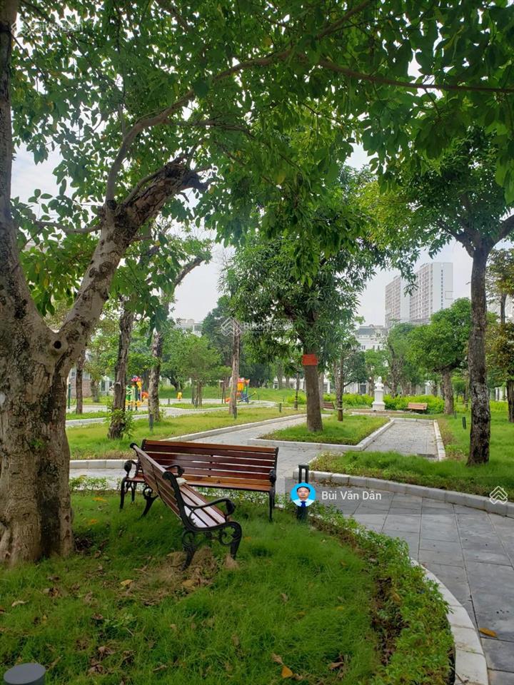 Phòng bán hàng dự án louis city đại mỗ  nam từ liêm dt từ 90m²  300m2 chỉ từ 24 tỷ   mr dân