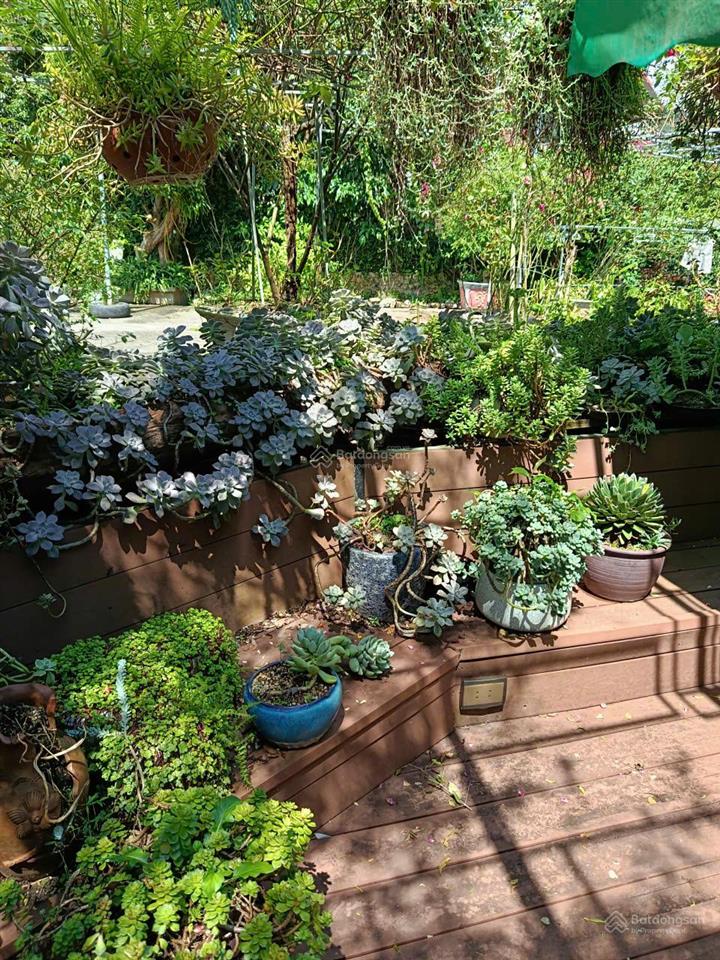 Cần bán gấp mặt phố trần huy liệu cạnh chợ mộc châu dt 1450m2 phù hợp xây khách sạn resort sđcc