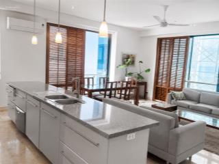 Cho thuê căn hộ quận 1  102m² 2pn 2wc