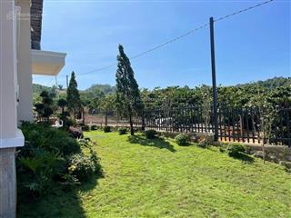 Đầu xuân  sở hữu biệt thự bắc âu giữa nam ban lâm hà, lâm đồng