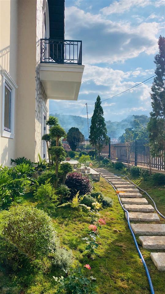 Căn villa khiến người xem xong quyết định xuống tiền ngay hill house retreat/view hiếm nam ban