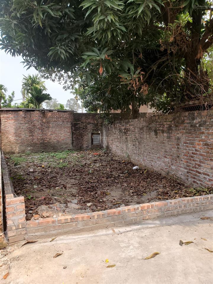 Đất trung tâm đông anh 45m² ngõ 353 xóm thượng, uy nỗ, 5.4 tỷ