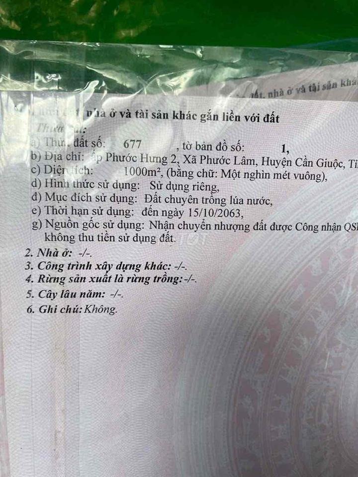 🌿 CHÍNH CHỦ BÁN GẤP 2.000m² ĐẤT NÔNG TRẠI CÓ SẴN VƯỜN CÂY ĂN TRÁI, AO