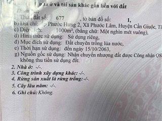 🌿 CHÍNH CHỦ BÁN GẤP 2.000m² ĐẤT NÔNG TRẠI CÓ SẴN VƯỜN CÂY ĂN TRÁI, AO