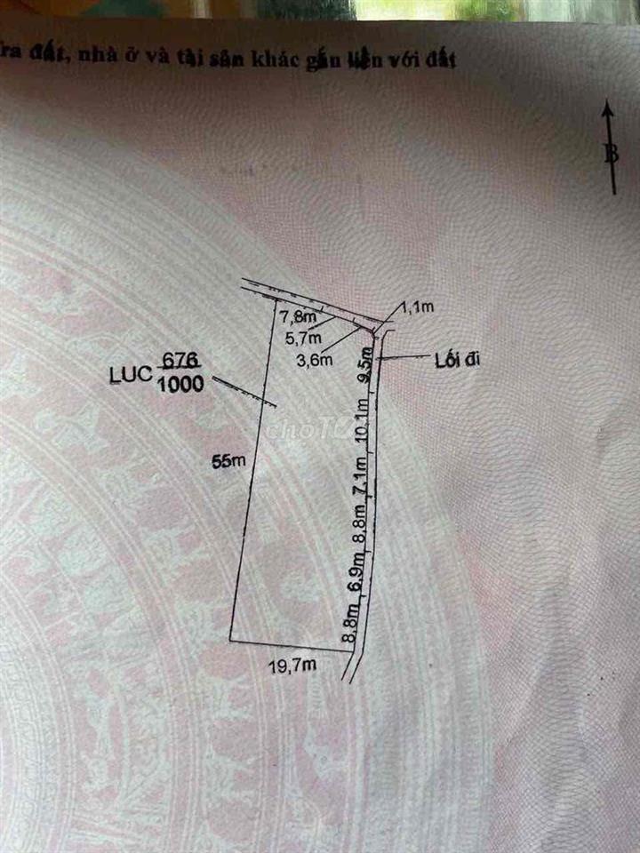 🌿 CHÍNH CHỦ BÁN GẤP 2.000m² ĐẤT NÔNG TRẠI CÓ SẴN VƯỜN CÂY ĂN TRÁI, AO