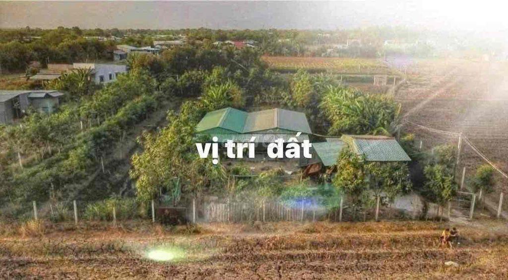 🌿 CHÍNH CHỦ BÁN GẤP 2.000m² ĐẤT NÔNG TRẠI CÓ SẴN VƯỜN CÂY ĂN TRÁI, AO