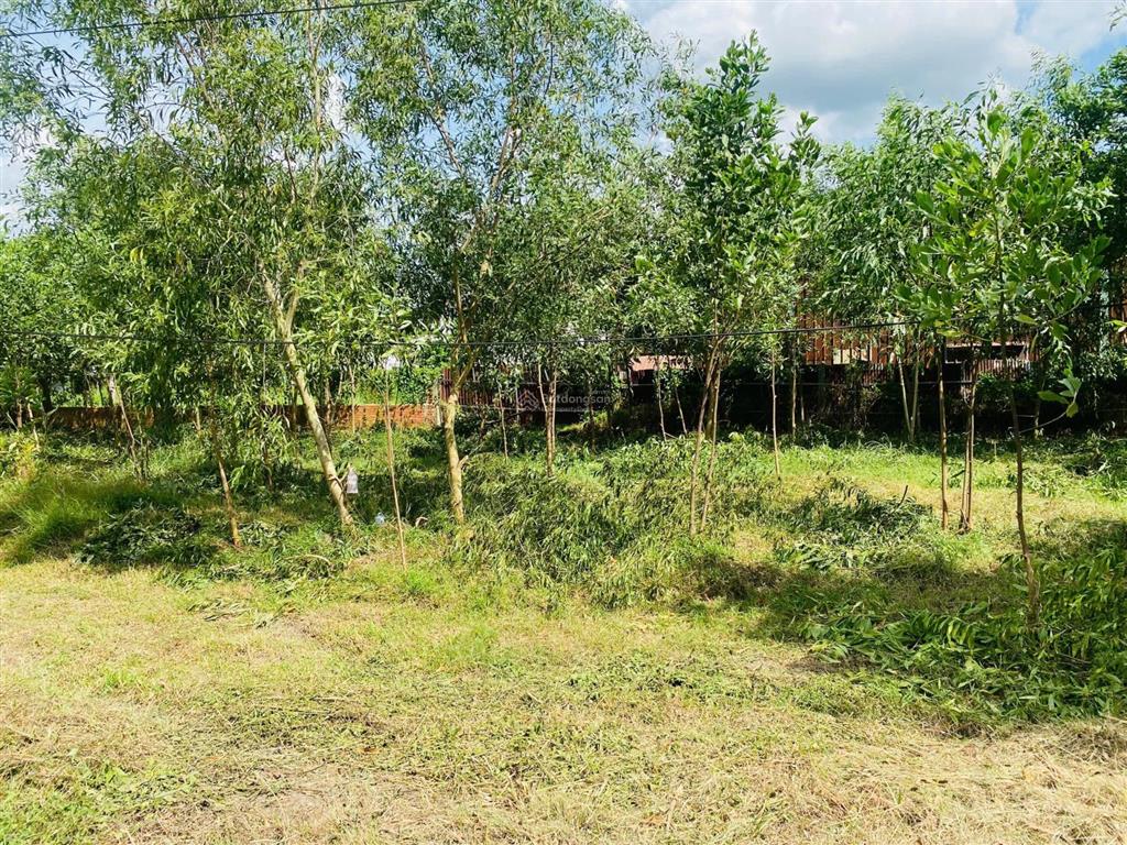 Bán đất ngộp ngân hàng 4100m2 ở gò dầu, tây ninh phù hợp làm bãi xe, gara, trạm sạc vinfast