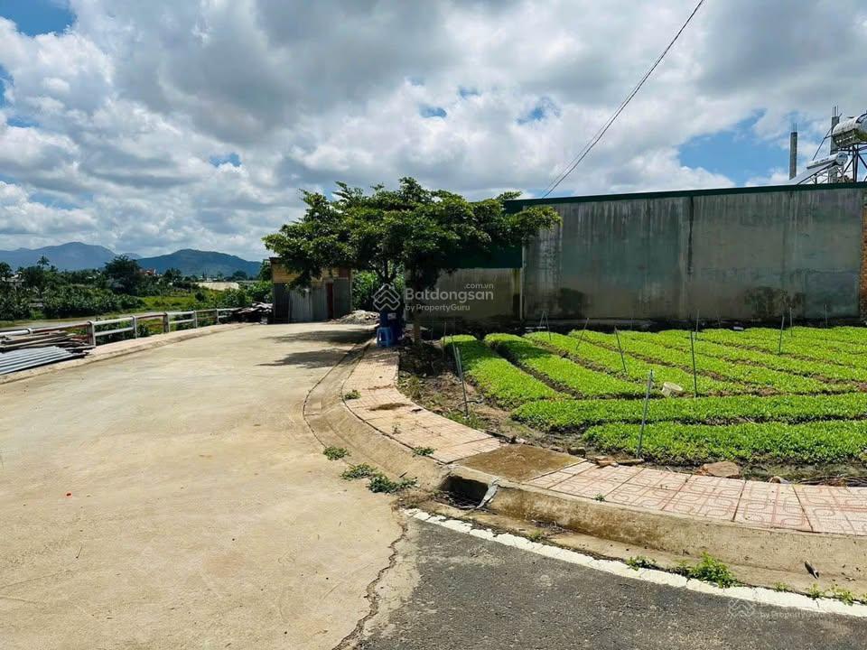 Chính chủ cần bán lô góc full thổ cư 10.5x23m view sông đa nhim. đất thế dương cao