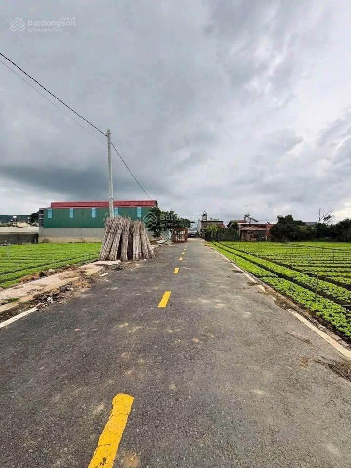 Chính chủ cần bán lô góc 10.5x23m view sông