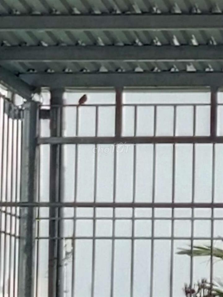 bán đất thổ cư