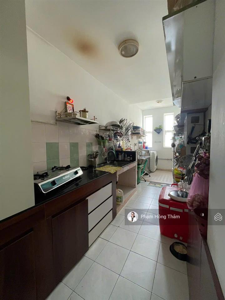 Bán căn hộ duplex chung cư mỹ thuận, dt 113,5m2. 3pn + 2wc, 1 ban công, sân thượng, nội thất cơ bản